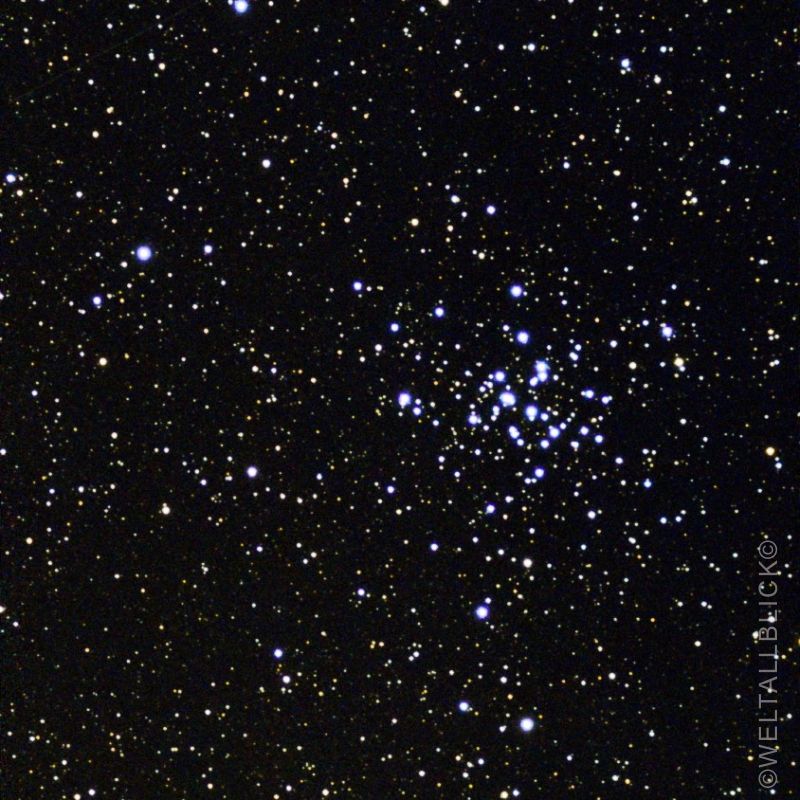m36 c