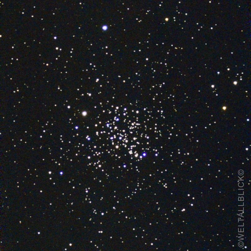 m67 golden eye haufen
