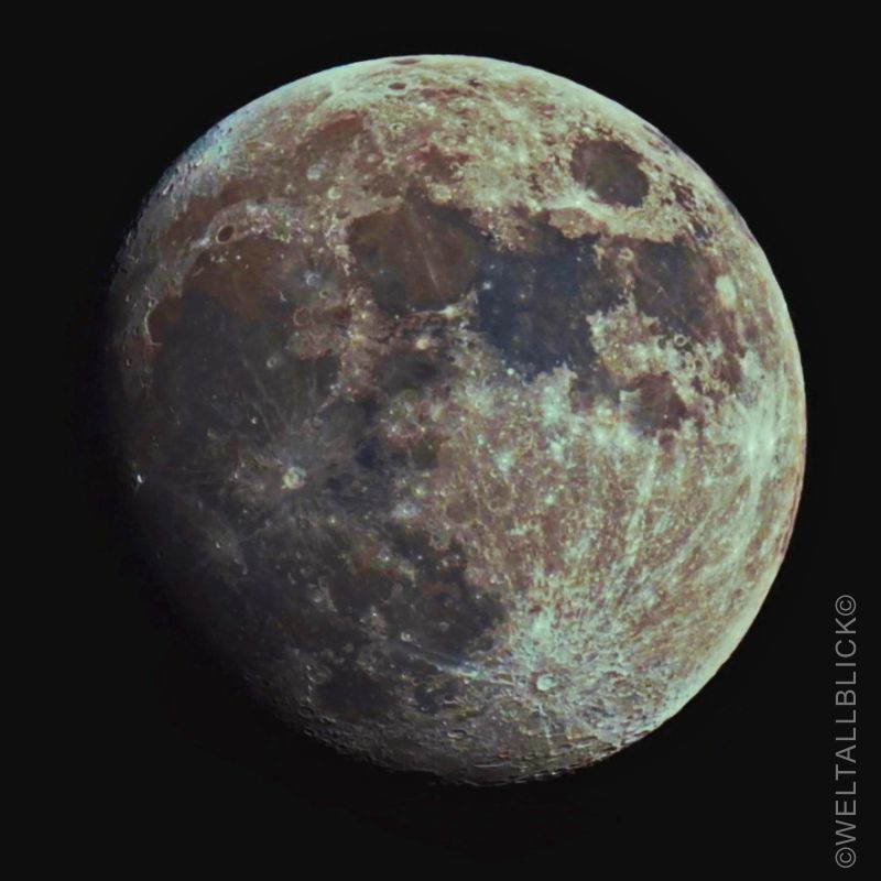 mond c2
